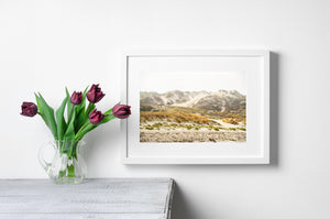 Western Australian Sand Dunes in Morning Fog Photo Print