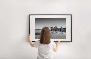 Mongolia camel silhouettes in sand