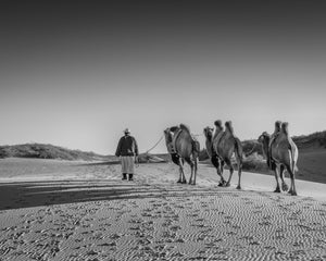 Black and white Mongolian desert photography