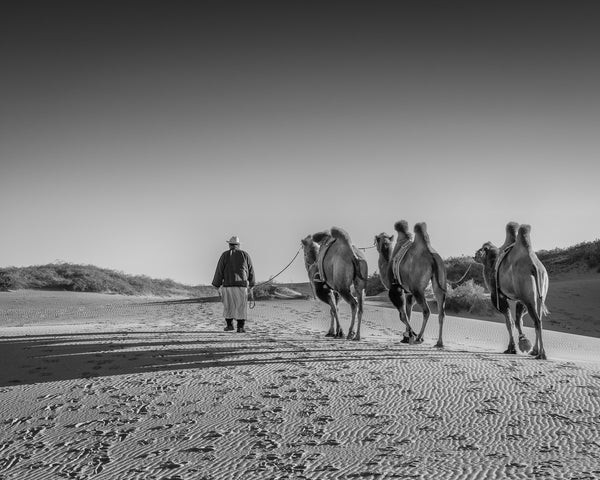 Black and white desert scene