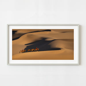 Mongolia desert camel journey