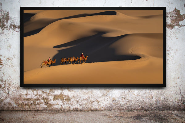 Peaceful camel procession in desert