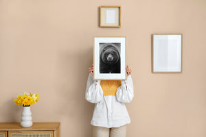 Detailed black bear fur texture in natural light