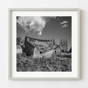 Black and white photograph of collapsed prairie barn in rural Manitoba