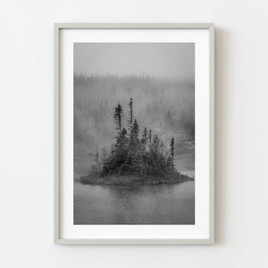 Small tree covered island in misty Newfoundland lake black and white