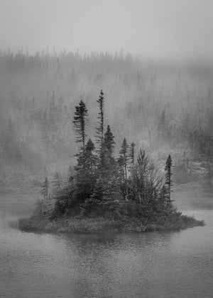 Foggy Newfoundland lake with spruce trees on isolated island