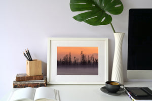 forest fire aftermath with smoke and silhouetted trees Canada