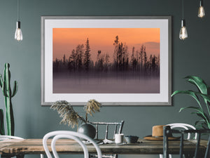 post wildfire landscape with heavy smoke and blackened forest