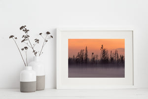 wildfire burned forest with orange sky and lingering smoke