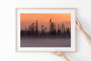 thin tree silhouettes rising through wildfire smoke at dusk