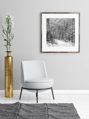 Northern Ontario woodland covered in fresh winter snow