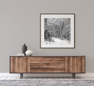 Narrow snowy opening surrounded by dense evergreen trees