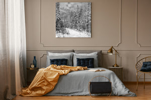 Bare trunks and snow covered conifers in a winter forest