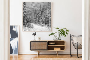 Vertical black and white photograph of Haliburton woods