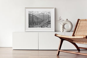 Rocky alpine peaks and a sparse forest hillside create a textured monochrome landscape.