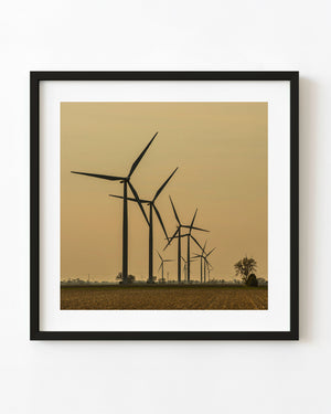Canadian wind turbines silhouetted against a golden sky above a rural field.