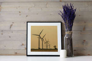 Golden light surrounds a line of turbines stretching into the distance.