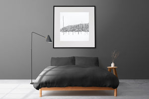 Bedroom with a bed, lamp, and framed picture on a gray wall.