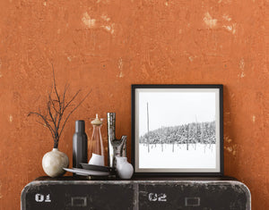 Framed black and white print on a textured orange wall with decorative items.