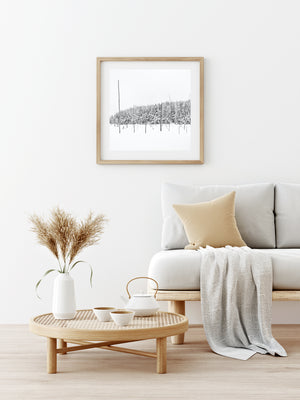 Modern living room with a sofa, coffee table, and framed artwork.