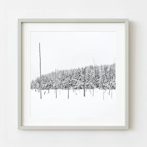 Framed black and white print of a snowy landscape with trees on a white wall.