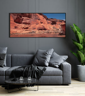 Pale branches and low vegetation sit beneath towering red sandstone canyon walls.