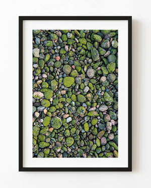 Rounded green and grey beach stones form a dense natural pattern in Cape Breton, Nova Scotia.
