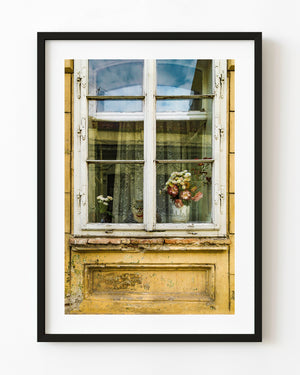 A cat sits behind a flower filled window in a weathered yellow wall in Brașov, Romania.