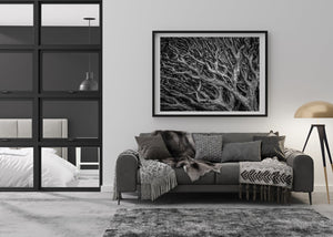 Overlapping tree limbs monochrome print