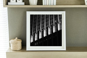 Monochrome Chicago architecture forms a bold pattern of light stone and black shadows.