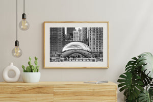 Fotografía artística en blanco y negro de Chicago Bean y el paisaje urbano