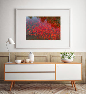 Traditional Chinese pond with koi