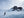 Colour wildlife photograph of a chinstrap penguin crossing a broad snowfield below Antarctic cliffs.