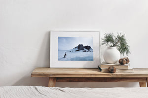 Open snow separates a lone penguin from dark cliffs under soft Antarctic light.