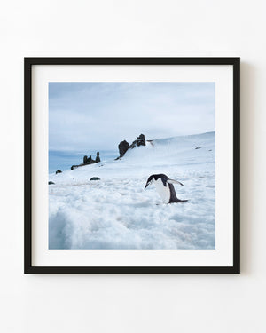 A chinstrap penguin walks across uneven Antarctic snow with dark rock pinnacles and blue sea beyond.