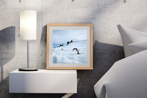 A lone penguin moves across textured snow beneath a soft sky and jagged Antarctic rocks.