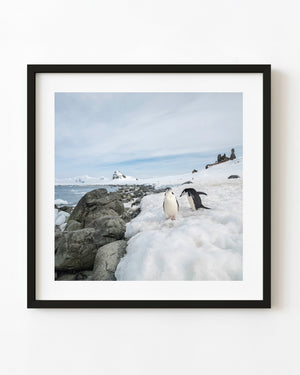 Two chinstrap penguins stand on Antarctic snow beside large coastal rocks beneath a pale blue sky.