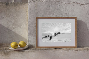 Monochrome animal print