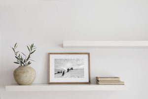 Antarctic nature photography