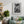 Escena de jardín japonés minimalista con madera y piedra texturizadas.