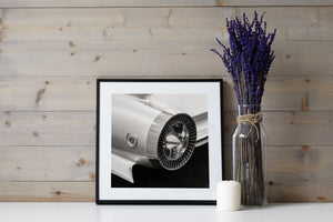 Iconic 1959 Cadillac fin with Cadillac emblem