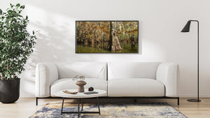 Clear lake cypress trees | Photo Art Print fine art photographic print