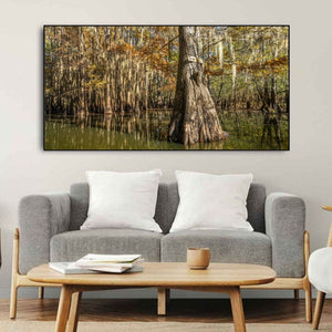 Clear lake cypress trees | Photo Art Print fine art photographic print