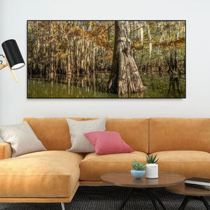Clear lake cypress trees | Photo Art Print fine art photographic print
