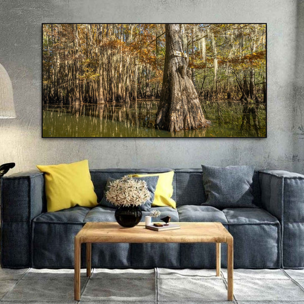 Clear lake cypress trees | Photo Art Print fine art photographic print