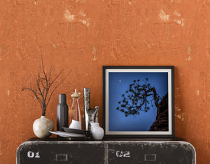Déco nature nocturne minimaliste