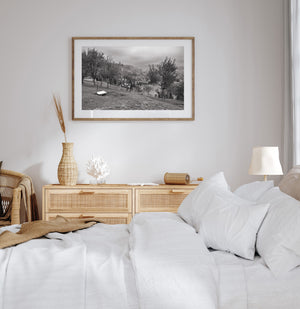 Clothesline stretching across trees on a Romanian hillside