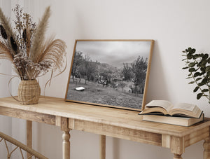 Pastoral Romania hillside with trees and hanging garments
