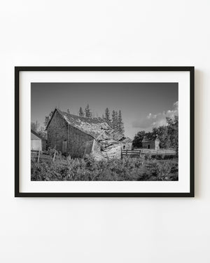 Black and white photograph of a collapsed wooden barn surrounded by prairie vegetation.