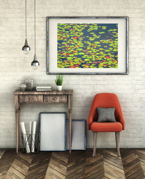 Yellow-green lily pads drift around open channels of blue water in a quiet pond.